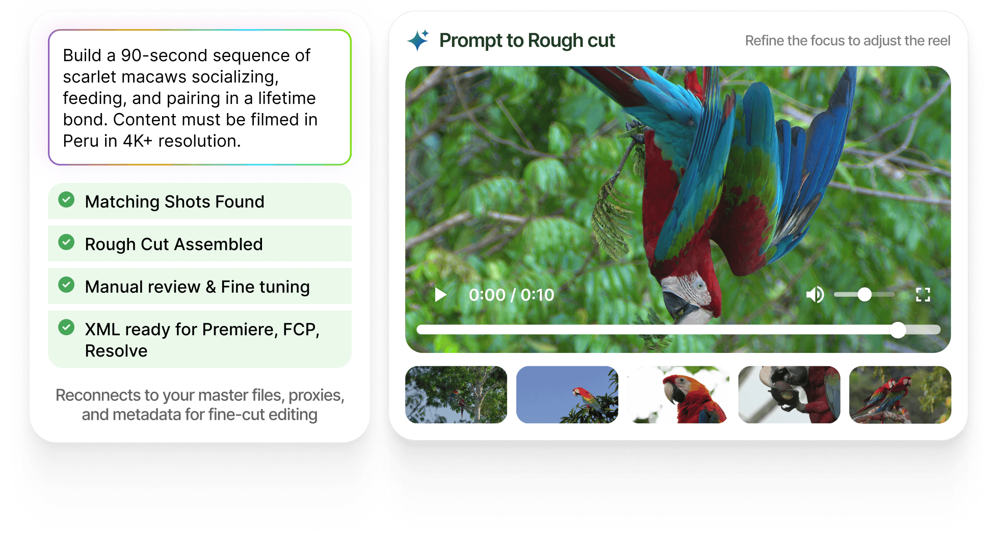 Prompt to rough cut: a brief for a 90-second sequence of scarlet macaws in Peru in 4K+ finds matching shots, assembles a rough cut for manual review and fine tuning, and exports XML for Premiere, FCP and Resolve
